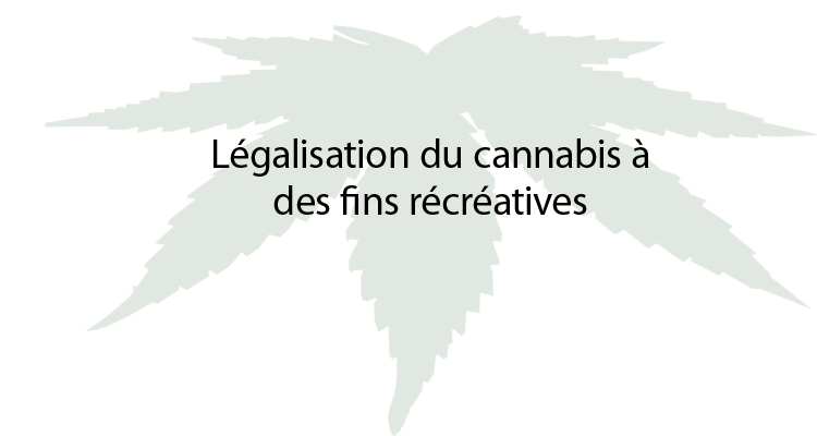 Consultation régionale sur l’encadrement du cannabis. La FIQ sonne l’alarme : trois risques de dérapage à minimiser