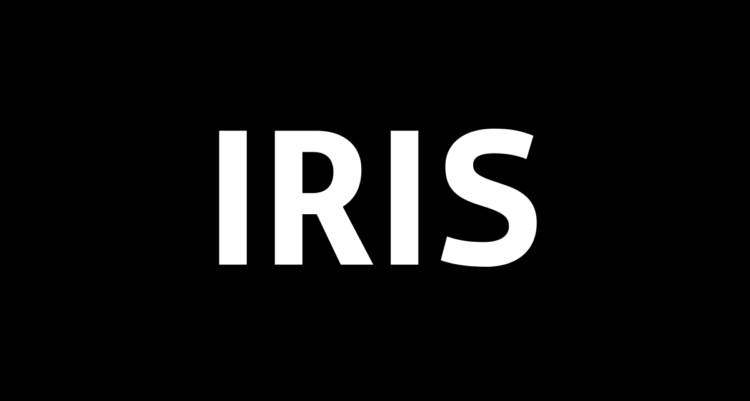 New IRIS study: using employment agencies or how to privatize home care