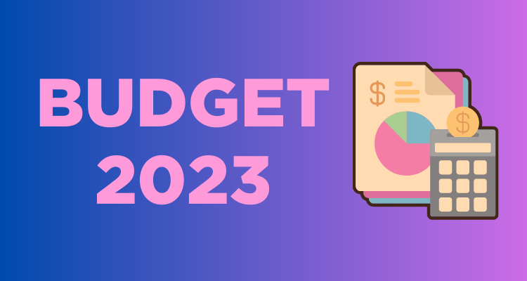 Budget 2023-2024 : nettement insuffisant pour répondre aux besoins du réseau de la santé et des professionnelles en soins   qui y travaillent 