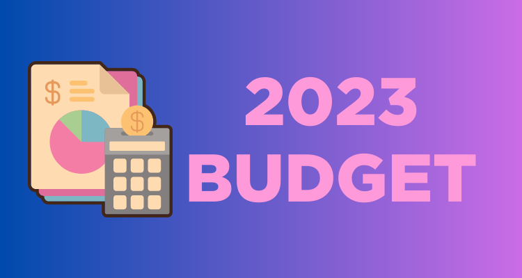 <em>2023-2024 Budget</em> : <strong>clearly insufficient and won’t meet the needs of the health network and healthcare professionals who work in it</strong>